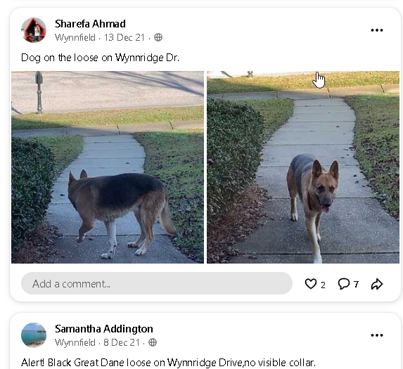 Loose Dogs in Neighborhood