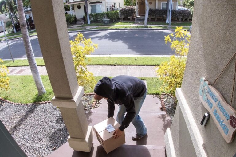 porch-pirate